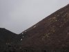 DSCN0420.jpg