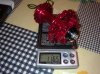 06082011162.jpg