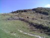 17102011375.jpg