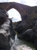 DSCN0513.jpg