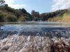 DSCN0525.jpg