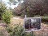 Parco Pineta-3.jpg