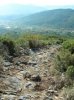 DSCN6251.jpg