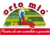 logo3.jpg