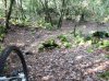 DSCN0677.jpg