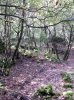 DSCN0678.jpg