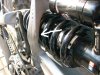 IMG_0550rid1.jpg