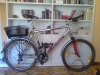 Specialina (0).jpg