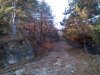 IMG-20111204-00013.jpg