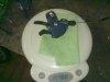 10122011310.jpg