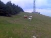 11-12-11_1049.jpg
