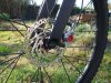DSCF5536.jpg