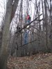 IMG_2592.jpg