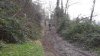 DSCF1396.jpg