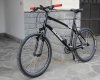 DSC00345.jpg