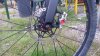 SAM_0874.jpg