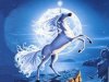 unicorno.jpg