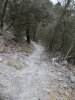 DSCN0022.jpg