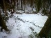 burrone innevato.jpg
