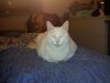 IMG_20120209_225659.jpg