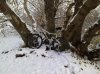 12022012079.jpg
