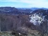 IMG02149-20120225-1125.jpg