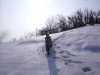 RIMG0008.jpg