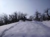 RIMG0009.jpg