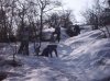 RIMG0010.jpg