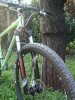 DSC01774.jpg