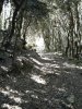 DSCF3191.jpg