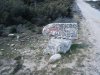 DSCF3198.jpg