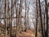 IMG_2744.jpg