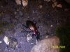 100_0404.jpg