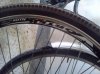 IMG004.jpg