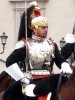 galva_corazziere.jpg