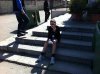 Immagine 044.jpg