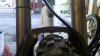 2012-05-18_07-58-03_319.jpg