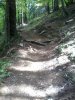 2012-05-22 14.11.30.jpg