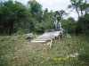 SDC10117.jpg