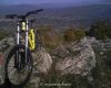 tomaso%20dhp.jpg