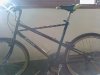 Bianchi thomisus 1990.jpg
