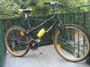 Bianchi thomisus 2.jpg