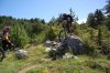 DSC_3553.jpg