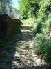 DSC01868.jpg
