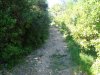 DSC01871.jpg