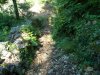 DSC01872.jpg