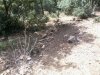 2012-06-30 09.47.29.jpg
