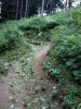 2012-07-10 14.10.38.jpg