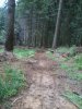 2012-07-14 11.03.44.jpg